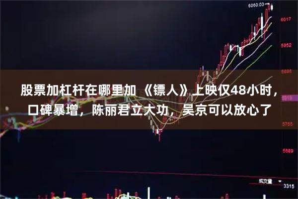 股票加杠杆在哪里加 《镖人》上映仅48小时，口碑暴增，陈丽君立大功，吴京可以放心了